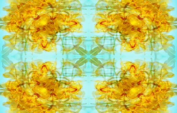 Design, art, pattern