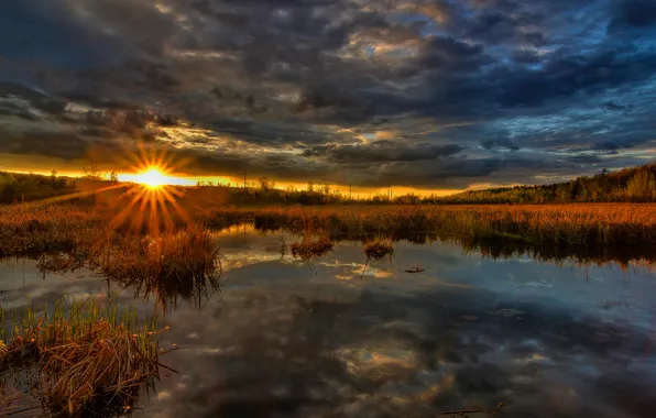 Картинка солнце, закат, болото