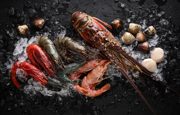Гребешок, ракушки, омар, креветки, морепродукты