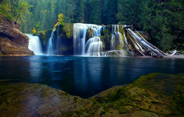 Лес, природа, река, водопад