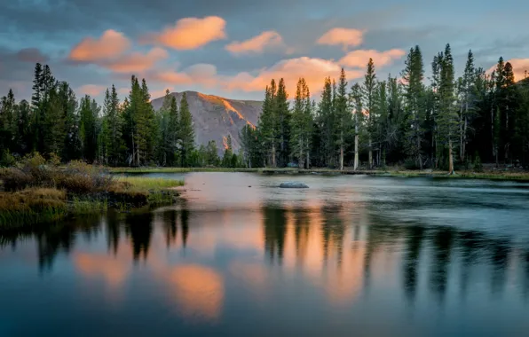 Картинка Йосемити, национальный парк, штат Калифорния, США.