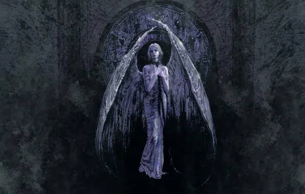 Картинка крылья, ангел, фантастический