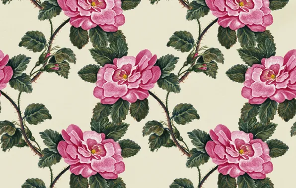 Цветы, фон, текстура, Flowers, Roses, Vintage, Background