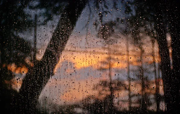 Картинка стекло, вода, капли, окно, после дождя