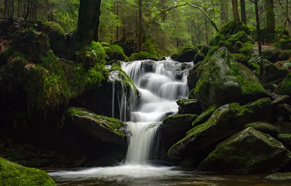 Картинка лес, природа, река, камни, водопад