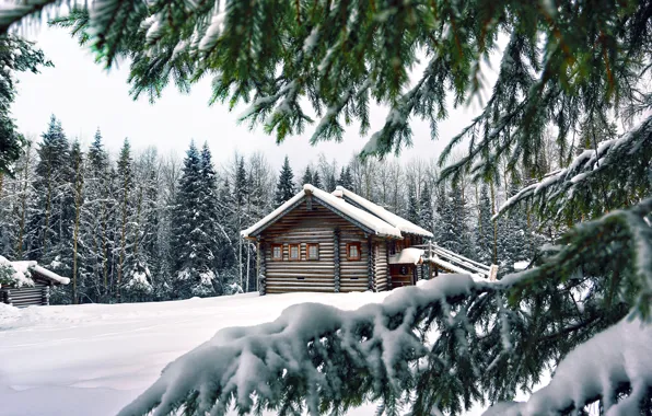Картинка зима, снег, деревья, ветки, дом, лапы, ели, хвоя