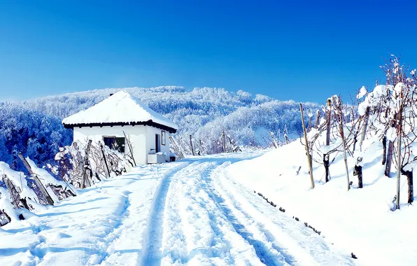 Картинка Природа, Зима, Снег, сугробы, Пейзаж, погода, wallpapers, условия