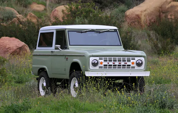 Ford, 2018, Bronco, сорняки, ICON Old School BR