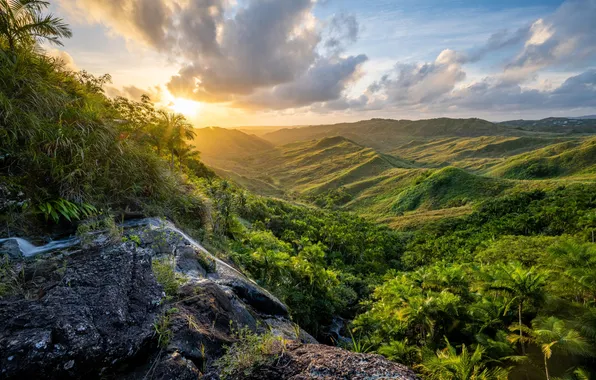 Картинка лес, небо, солнце, облака, деревья, пейзаж, закат, горы