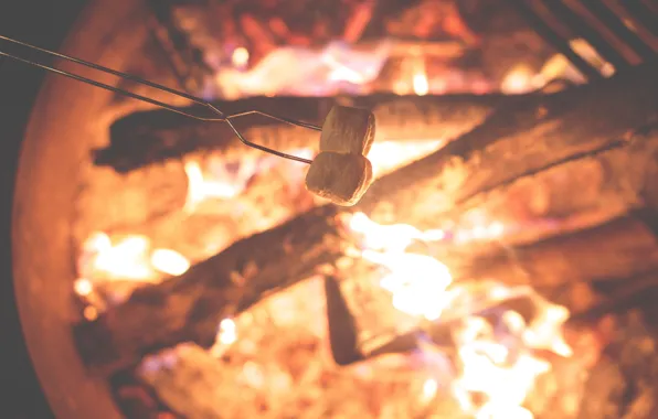 Огонь, костер, fire, wood, зефир, flames, outdoors, camping