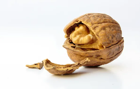 Food, nut, cracked