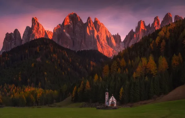 Картинка лес, свет, горы, Альпы, церковь