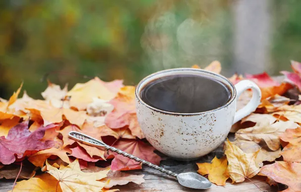 Осень, листья, wood, autumn, leaves, coffee cup, чашка кофе