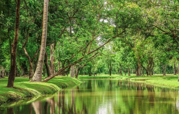 Деревья, пейзаж, природа, река, красота, Таиланд
