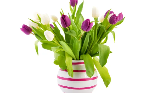 Листья, букет, зеленые, фиолетовые, тюльпаны, белый фон, ваза, белые