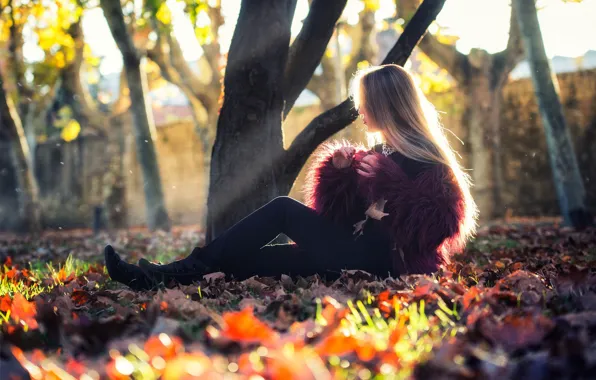 Картинка осень, девушка, солнце, деревья, фото, листва, модель, волосы