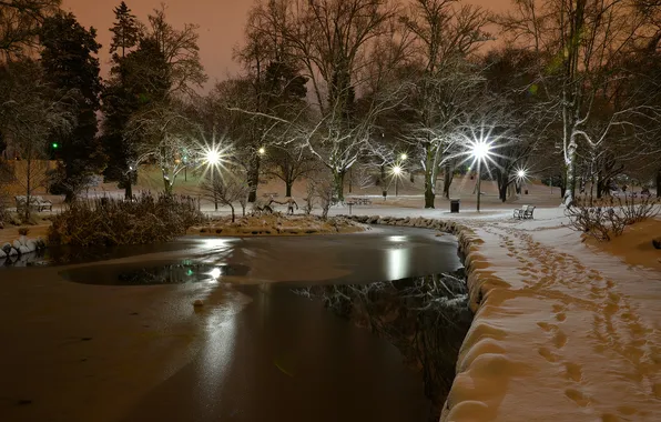 Картинка Washington, Tacoma, Wright Park, Snow night