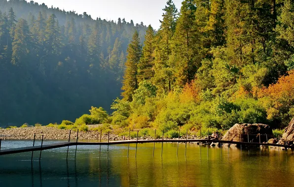 Осень, лес, деревья, мост, озеро, камни, берег, Калифорния