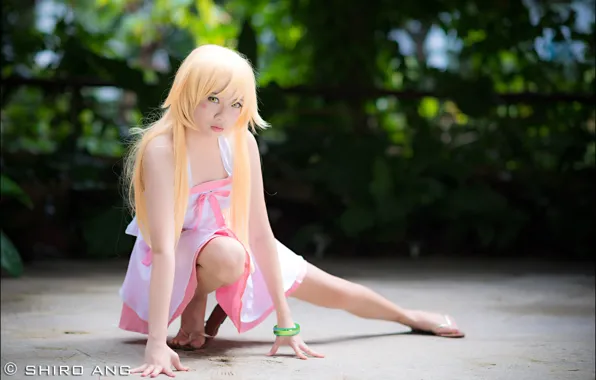 Девушки, косплей, Bakemonogatari, Shinobu Oshino, by shiroang