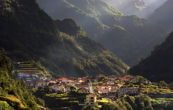 Картинка лес, солнце, деревья, горы, природа, дома, дымка, ущелье