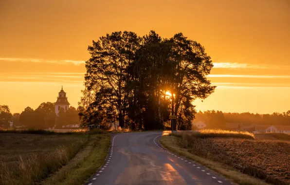 Дорога, деревья, восход, рассвет, утро, церковь, Швеция