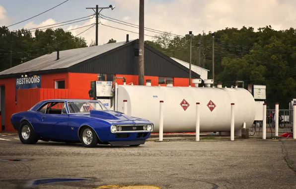 Картинка синий, Chevrolet, шевроле, мускул кар, camaro, blue, камаро, драгстер