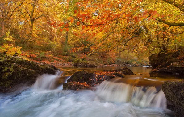 Картинка осень, лес, деревья, река, Англия, водопад, Devon, England