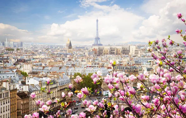 Франция, Париж, Весна.