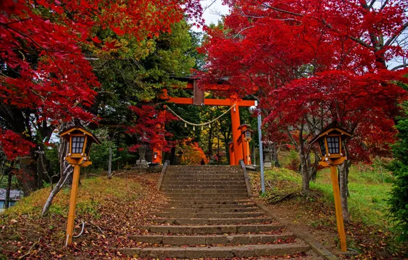 Картинка осень, листья, деревья, парк, Япония, фонари, лестница, ступени