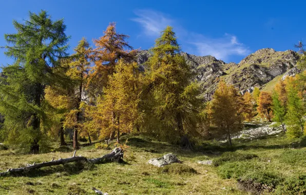 Осень, деревья, горы, Италия, Пьемонт