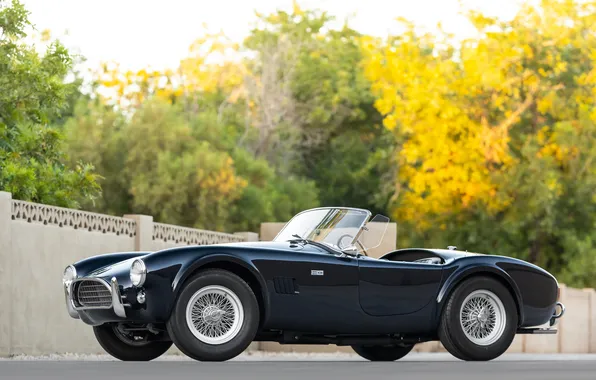 Черный, Shelby, ретро автомобили, 1963, Shelby Cobra, единственный экземпляр, Cobra 289, спортивные автомобили