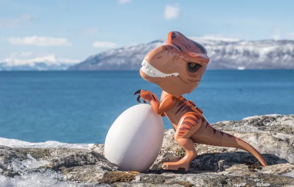 Фон, игрушка, яйцо, динозавр, t-rex