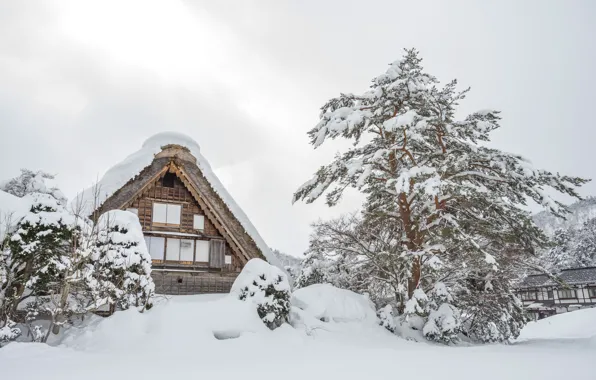 Картинка зима, снег, деревья, пейзаж, зимний, house, хижина, landscape