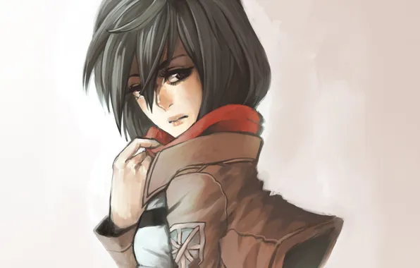 Картинка взгляд, девушка, арт, куртка, Mikasa Ackerman, Атака Титанов
