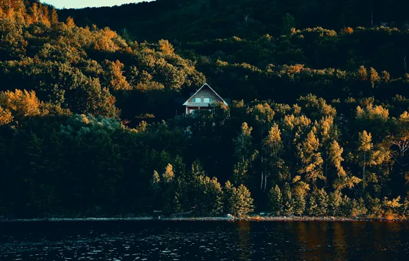 Зелень, лес, лето, небо, вода, деревья, горы, река
