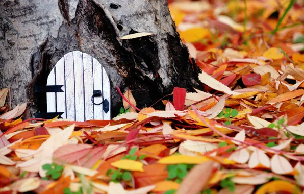 Картинка осень, листья, природа, фон, дерево, widescreen, обои, желтые