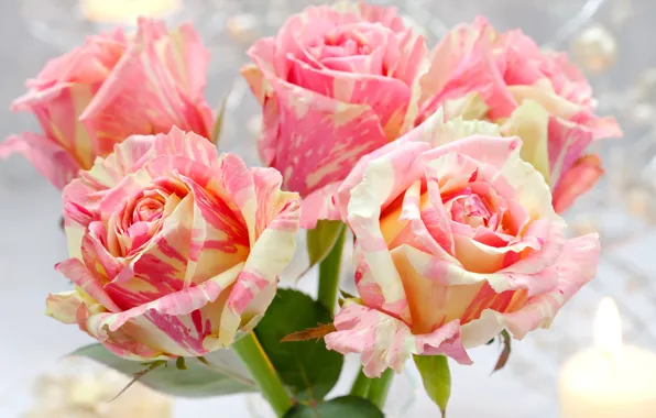 Розы, свеча, Roses