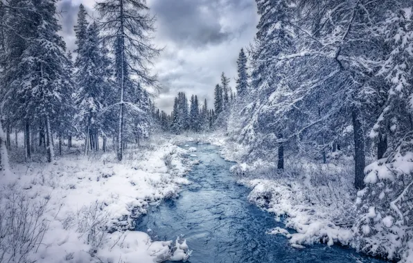 River, nature, winter, snow