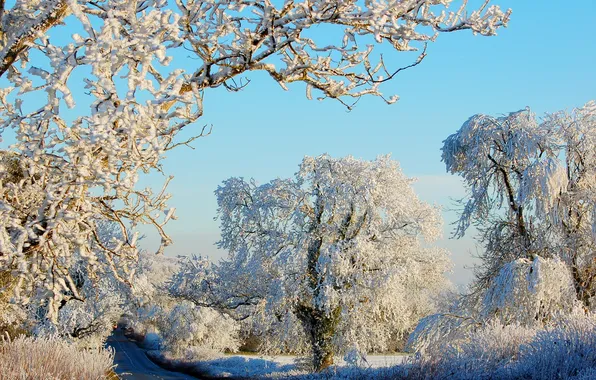 Картинка зима, дорога, солнце, снег, деревья