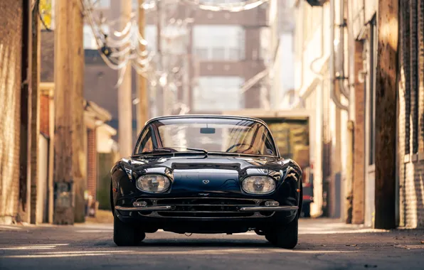 Картинка Lamborghini, 1965, front, 350 GT, Lamborghini 350 GT