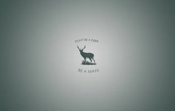 Серый, олень, рога, зелёный, Животные, dont