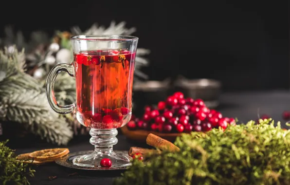 Стекло, ветки, ягоды, темный фон, чай, бокал, мох, плоды