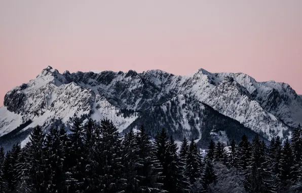 Nature, Wood, Winter, Mountain, Snow, Trees, Paul Fiedler