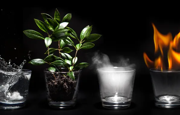 Earth, fire, water, air, 4 elements, glass cup