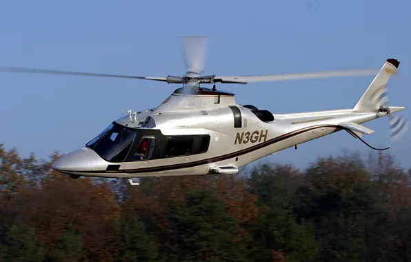Картинка лес, полет, легкий, вертолет, Power, итальянский, многоцелевой, Agusta