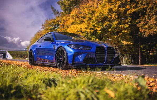 BMW, Blue, Autumn, Forest, Trees, BMW M4, Black Wheels