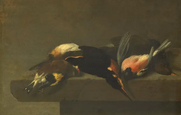 Масло, картина, 1662, Ян Вонк, Мертвые Птицы, Jan Vonck