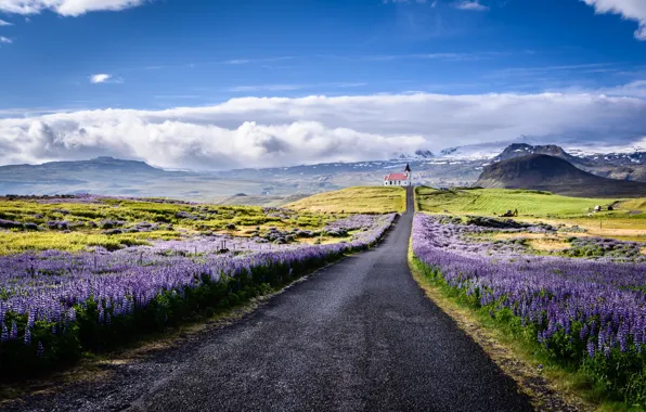 Картинка дорога, облака, пейзаж, цветы, горы, природа, церковь, Исландия
