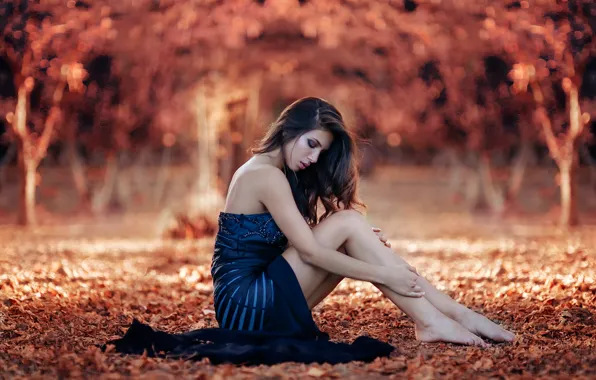 Картинка осень, девушка, ножки, Sweet Autumn, Alessandro Di Cicco
