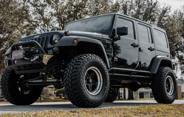 Car, SUV, Wrangler, Jeep, Trees, Offraod, Aj Festa